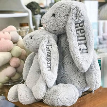 Load image into Gallery viewer, Embroidered Plush Bunny With Child&#39;s Name