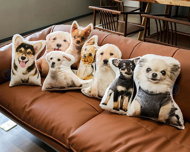 Custom Pet Pillow