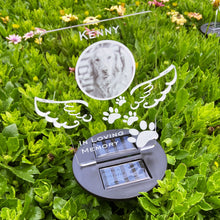 Load image into Gallery viewer, Garden Solar Memorial Light Multiple Styles With Photo