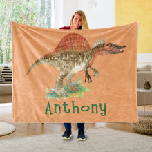 Load image into Gallery viewer, Custom Name Fleece Blanket Dinosaur IV06